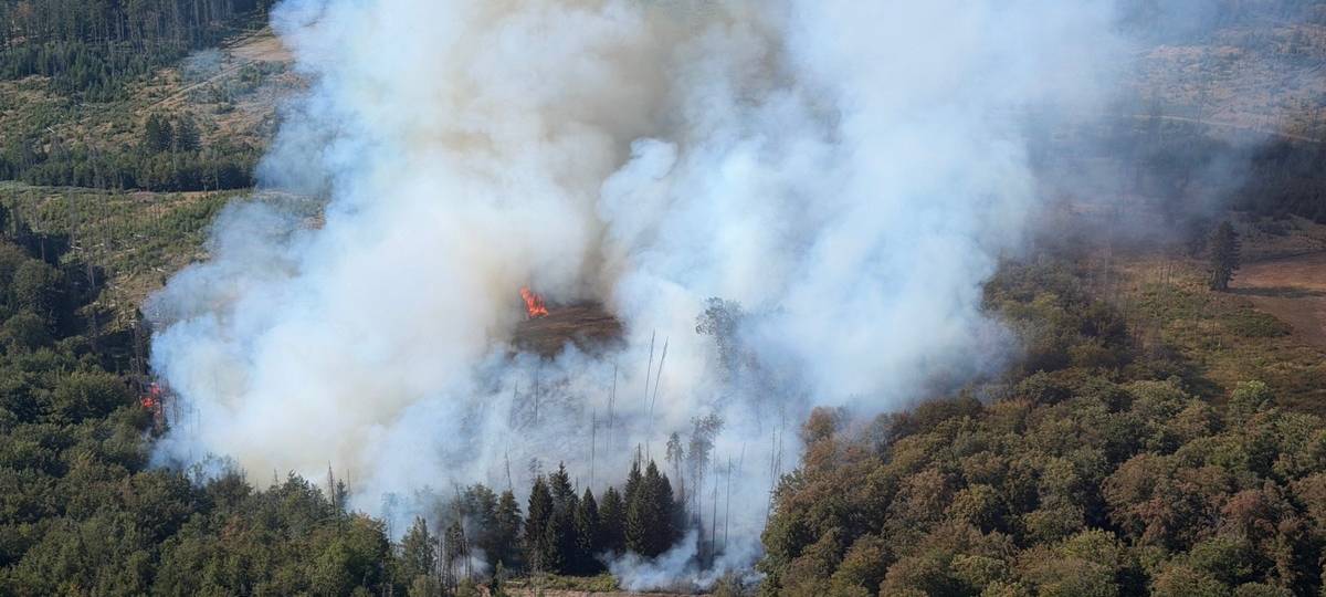 Waldbrand am Möhnesee: Feuerwehr im Einsatz