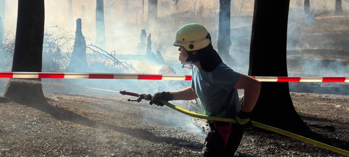 Waldbrand am Möhnesee: Feuerwehr im Einsatz