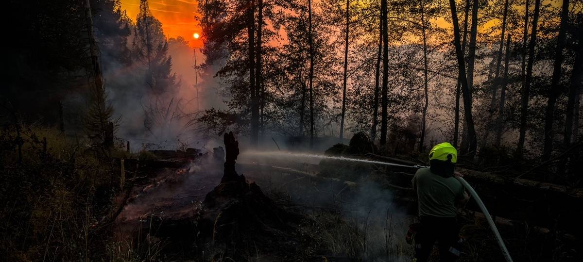 Live-Ticker: Großeinsatz wegen Waldbrand am Möhnesee