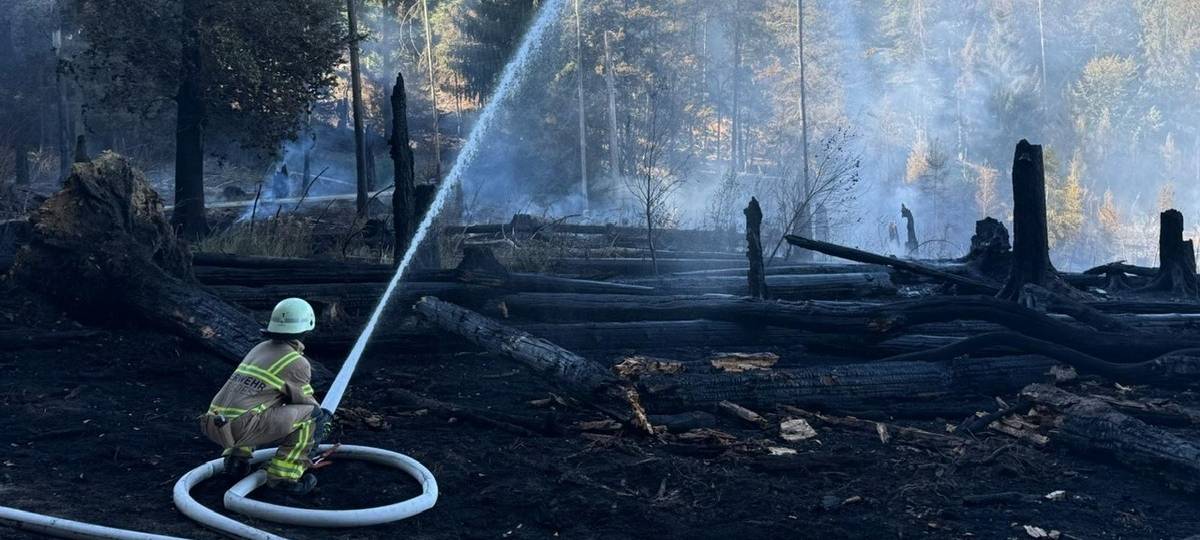 Live-Ticker: Großeinsatz wegen Waldbrand am Möhnesee