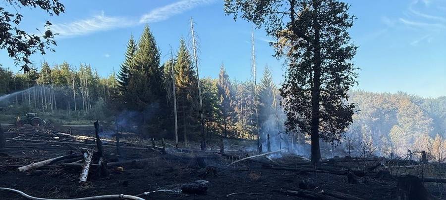 Live-Ticker: Großeinsatz wegen Waldbrand am Möhnesee