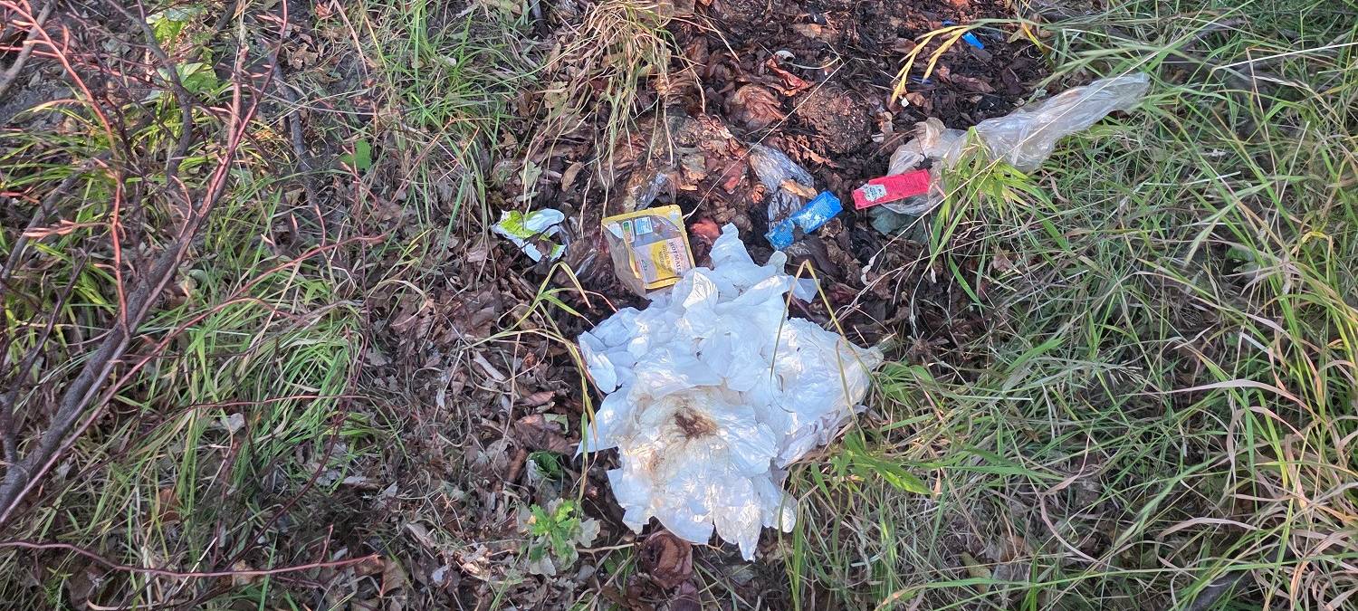 Fleischreste im Wald: Schweinepest-Gefahr in Warstein