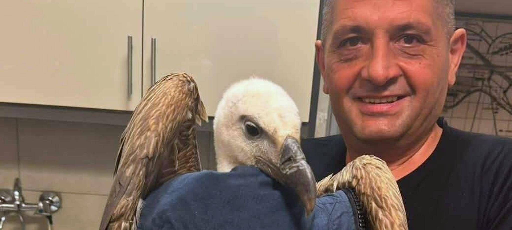 Gänsegeier verhindert Flugzeugstart