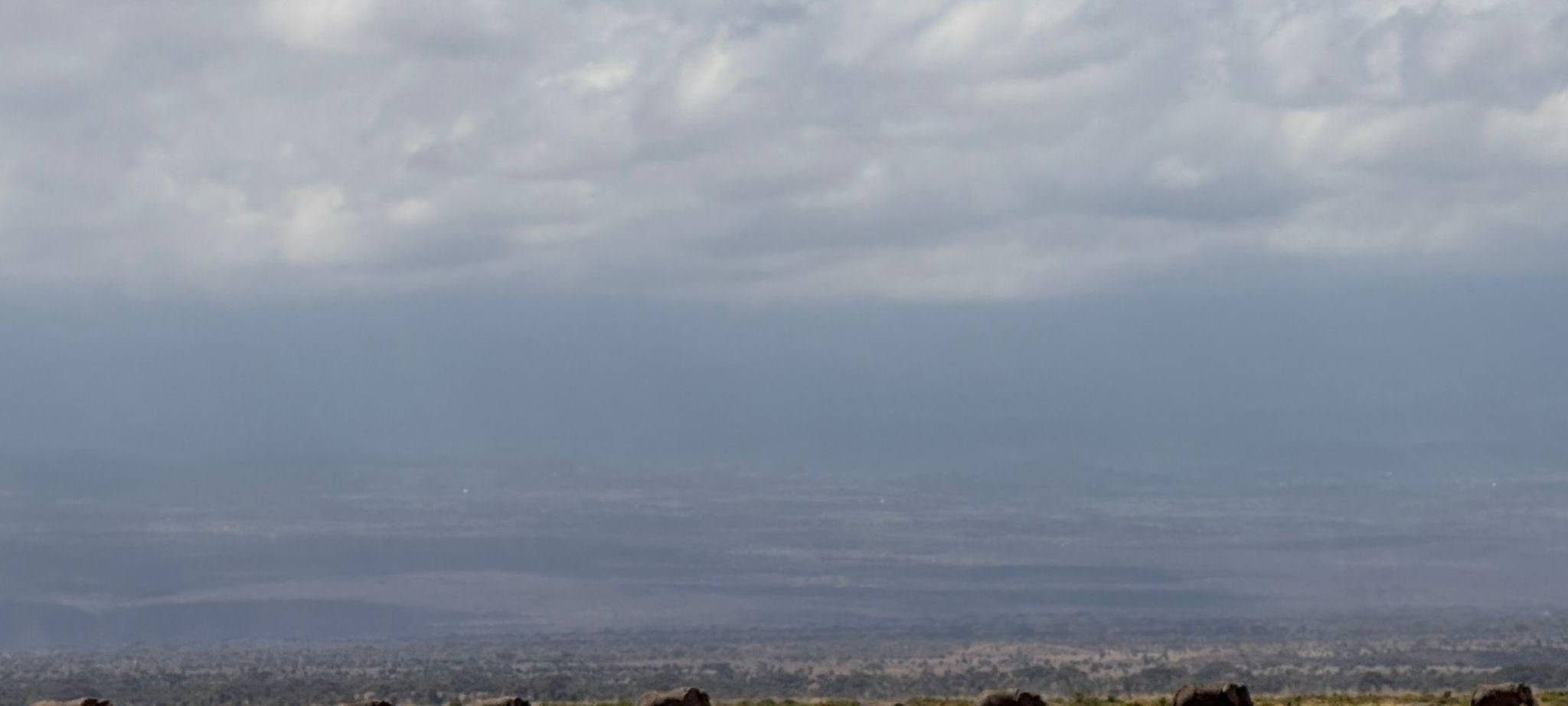Elefanten im Amboseli-Nationalpark
