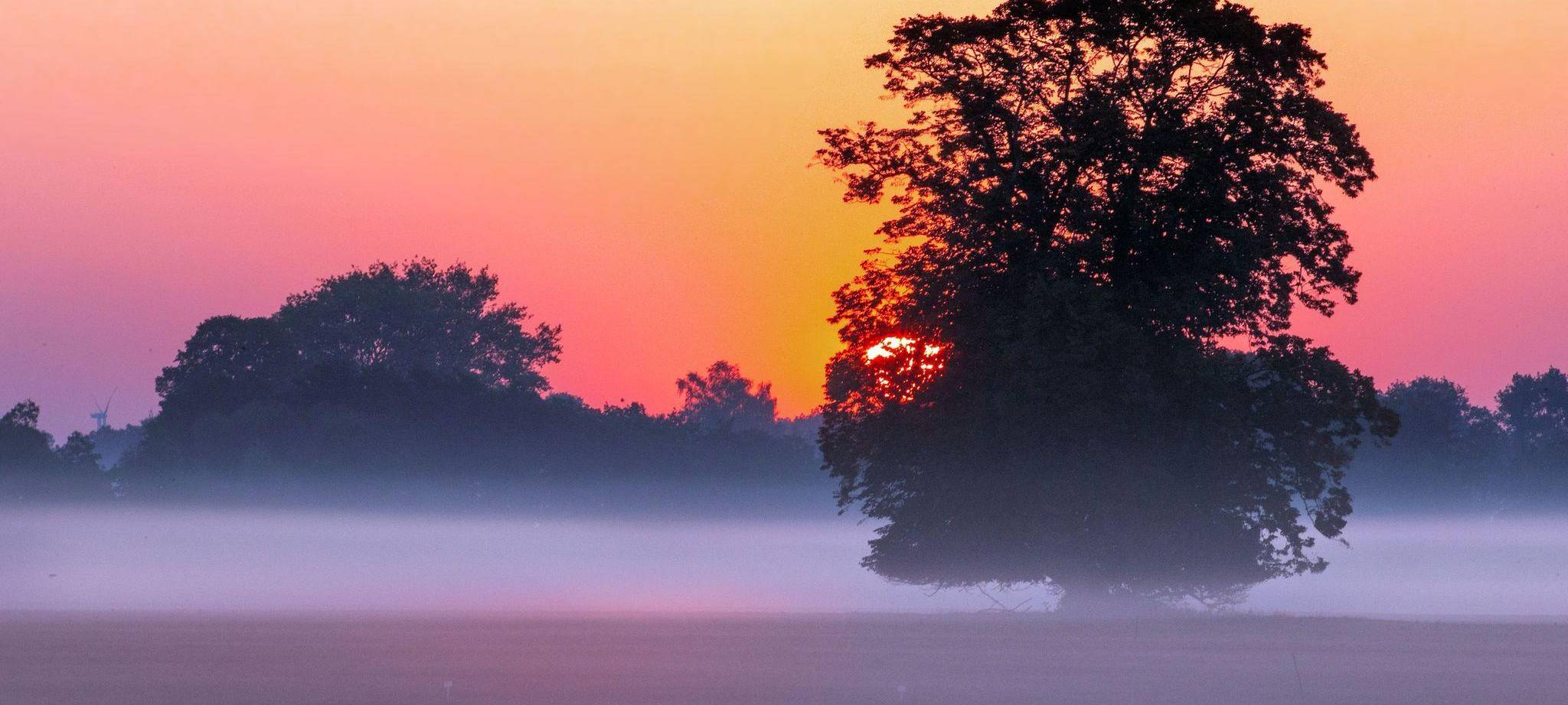 Sonnenaufgang im Morgennebel