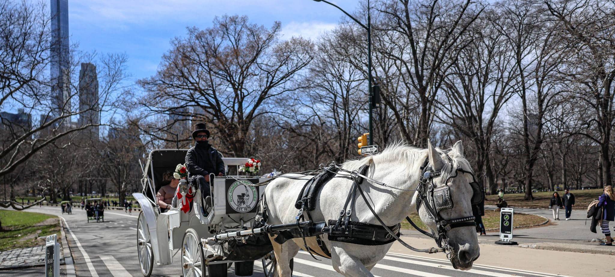 Aus für die Pferdekutschen im New Yorker Central Park