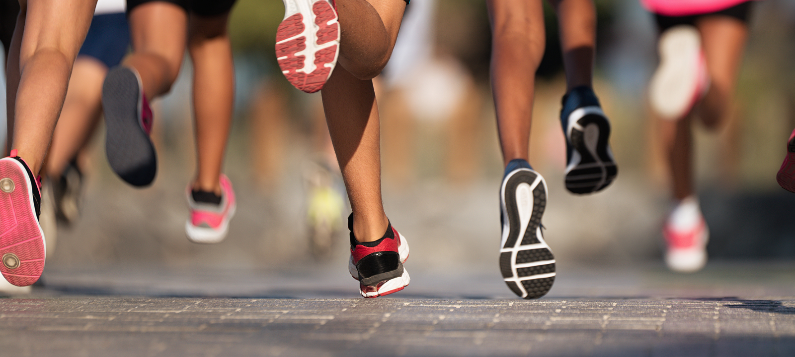 So lauft ihr durch den Kreis Soest! Der Laufkalender 2023