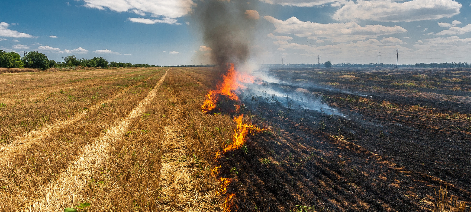 Brand auf Werler Feld: Hohe Feldbrandgefahr