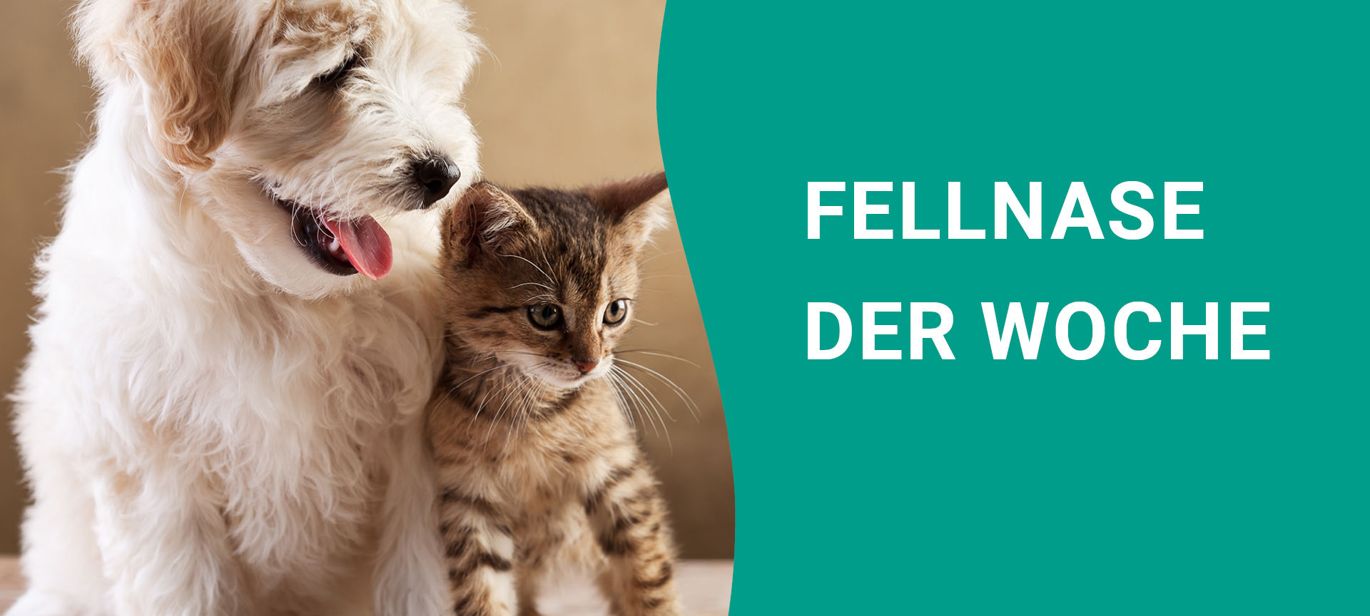 Hellweg Radio: Die Fellnase der Woche