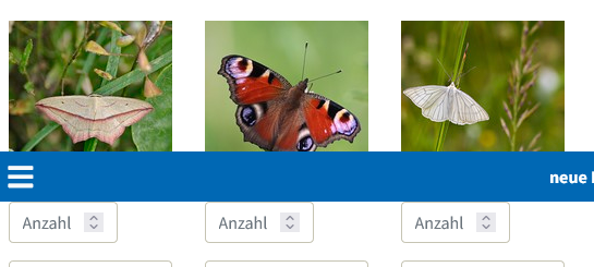 Schmetterlinge zählen