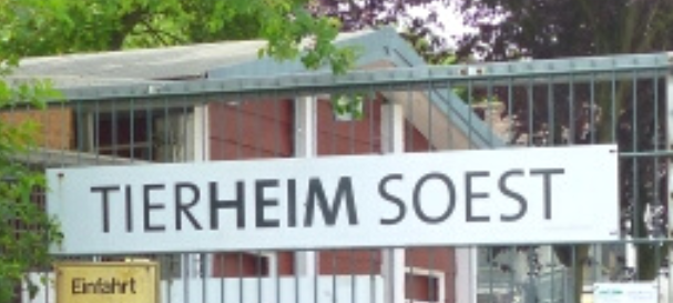 Das Tierheim Soest veranstaltet eine "Tierbescherung".