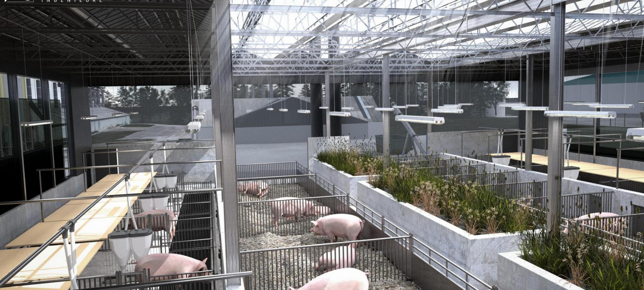 Bad Sassendorf eröffnet "Schweine-Stall der Zukunft"