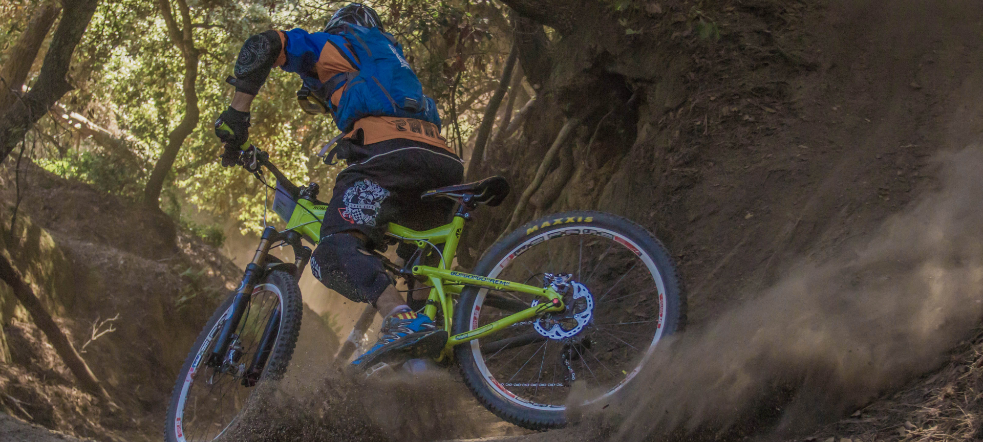 Symbolfoto: Fahrradfahrer im Wald.