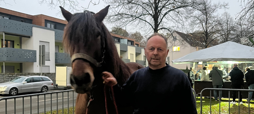 Pferdemarkt: Gewicht von Schätzpferd Tobias überraschte Viele