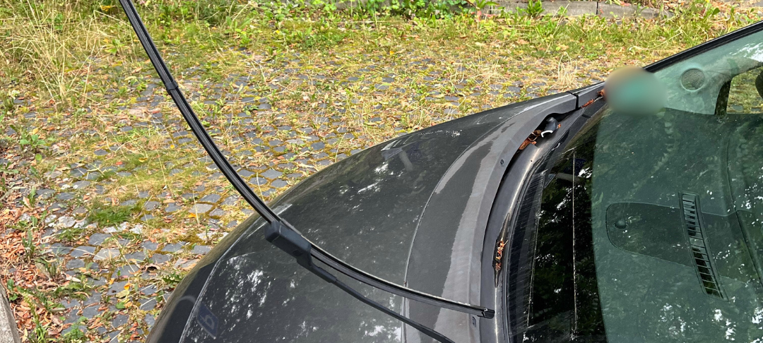 Soest: Randalierer beschädigen geparkte Autos