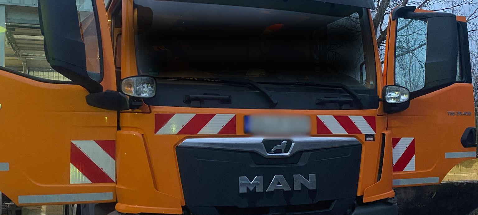 Platanenpflege am Kölner Ring