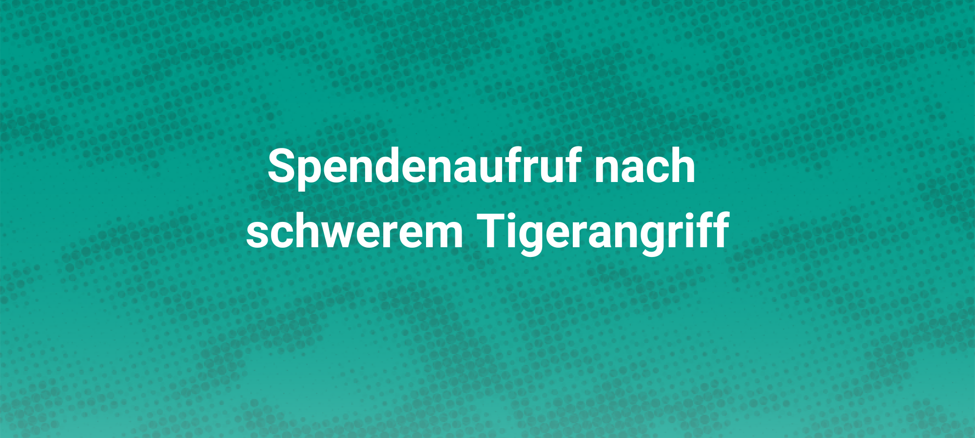 Spendenaufruf nach schwerem Tigerangriff