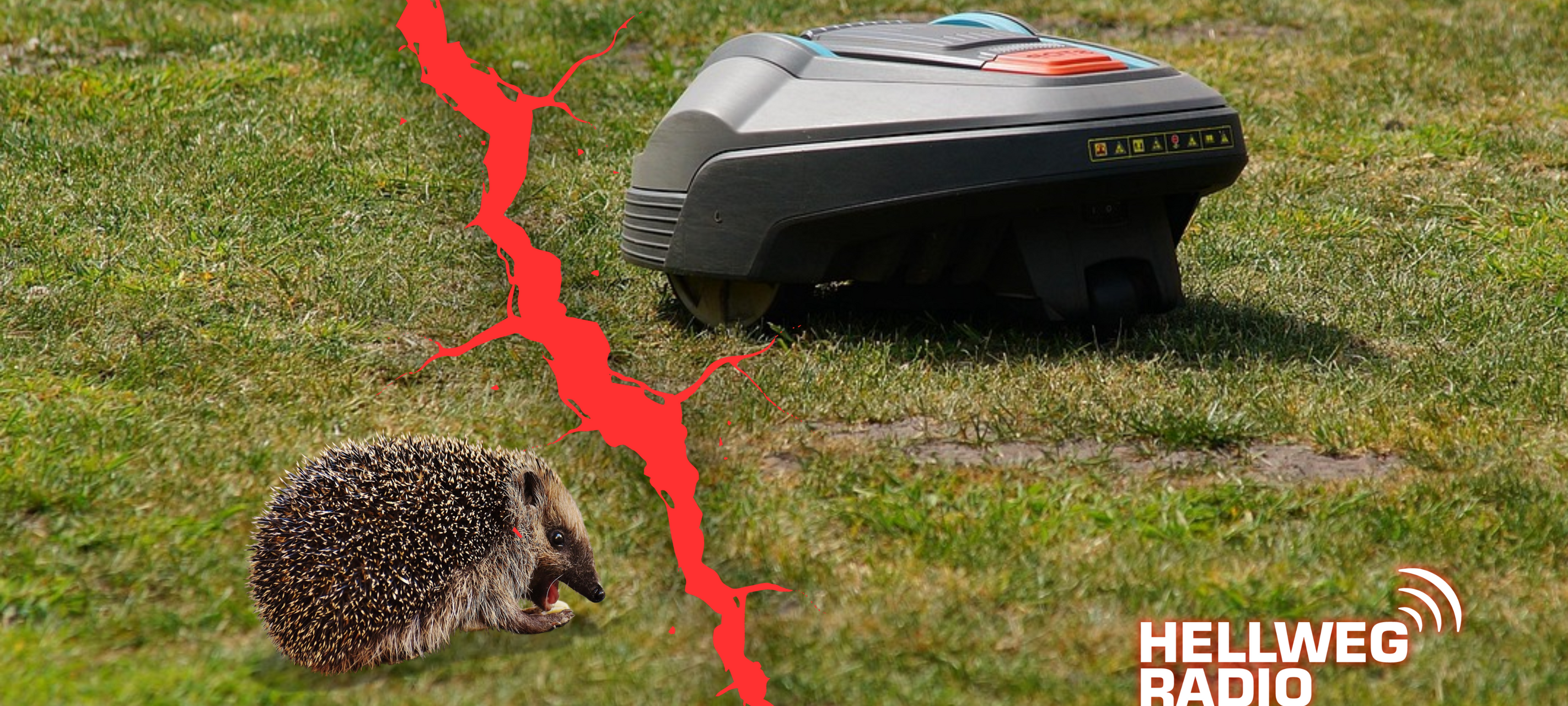 Bald in Lippstadt ein Nachtverbot für Mähroboter?