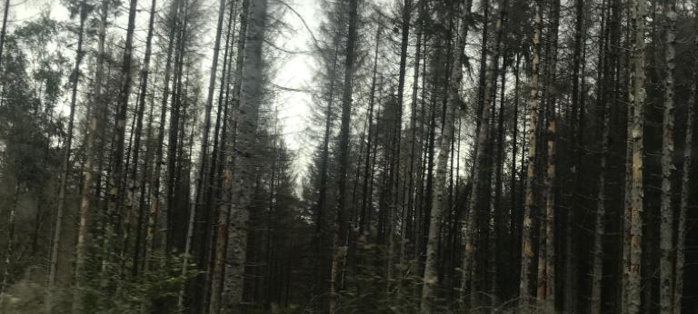 Längere Sperrung der Sauerlandstraße