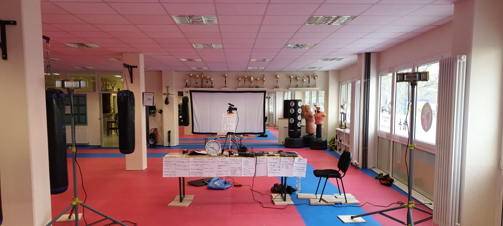 Kampfkunst im Wohnzimmer