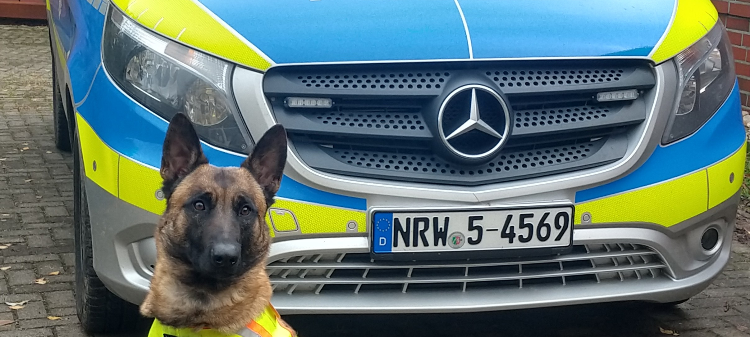 Polizeihund schnappt Erwitter